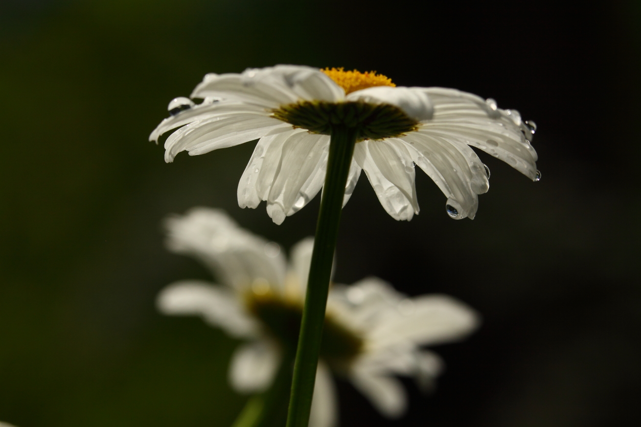 2014 06 05 HTP 58717